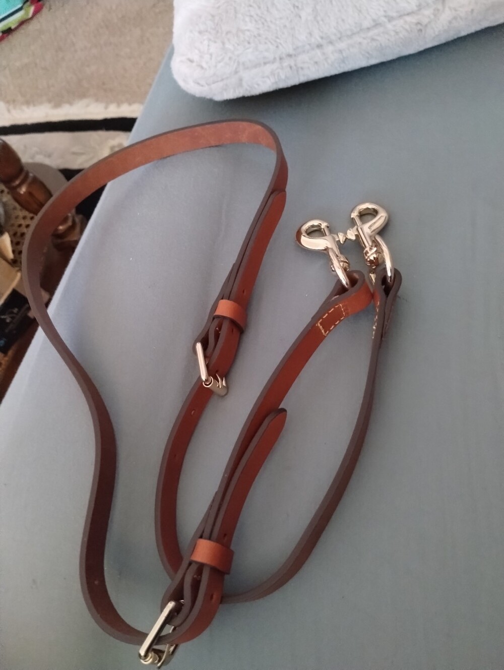 Dooney & Bourke Leather & Gold Tone Adj. Shoulder Strap
